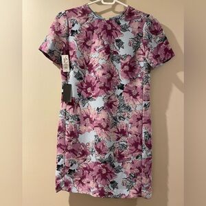 Aritzia Patricio Dress